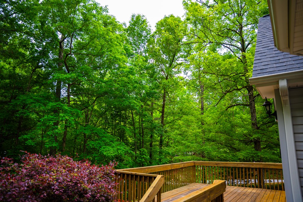 102 Broken Ridge Court Greenwood, SC 29646 - Photo 10 of 26 Gallery Image 10