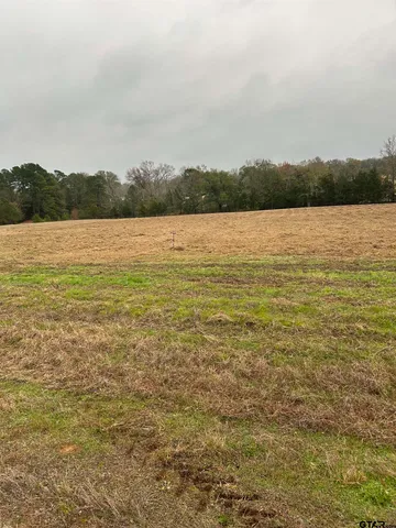a view of lake with green space