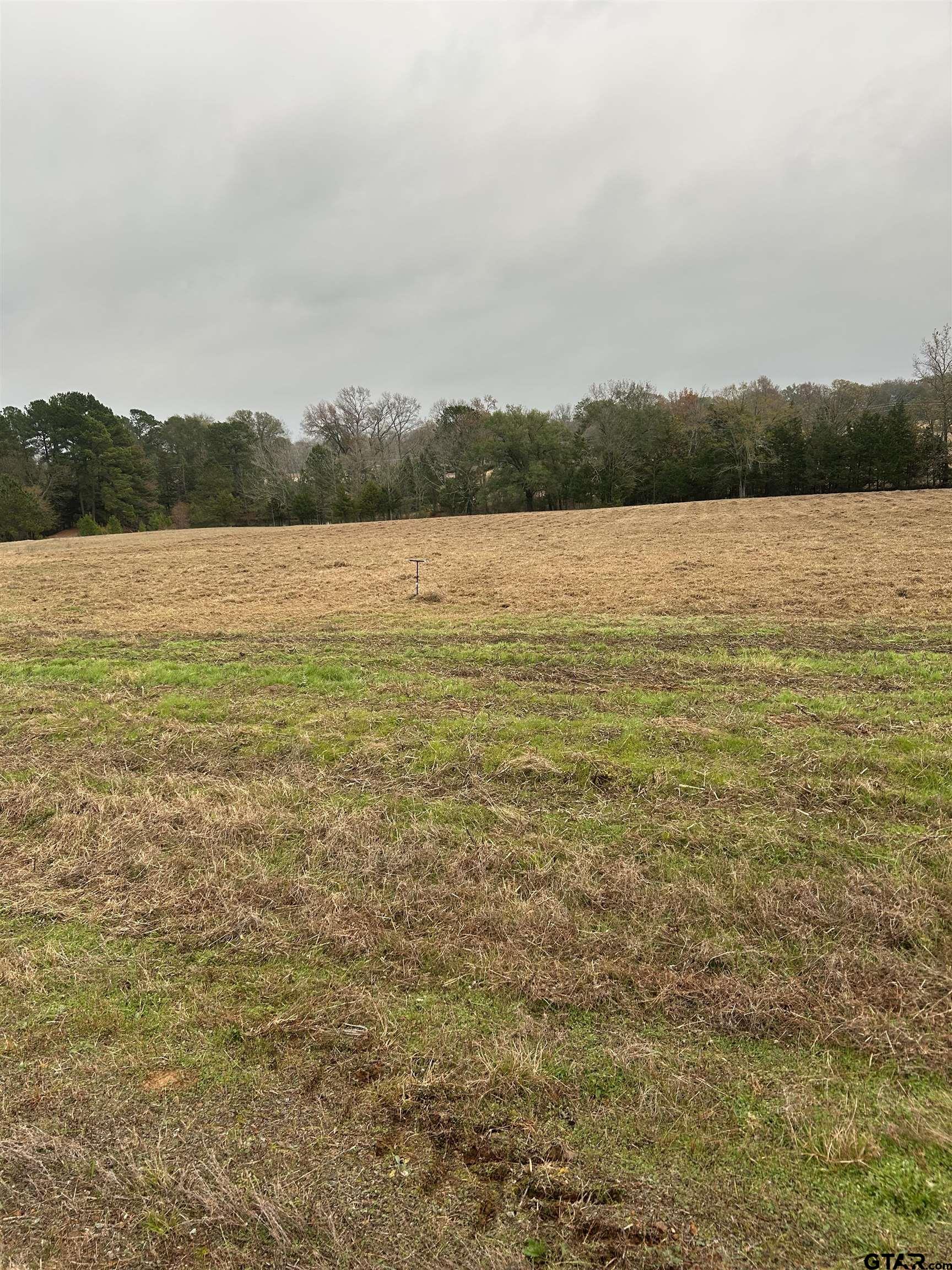 12729 Ridgeway Court Winona, TX 75792 - Photo 2 of 6 a view of lake with green space