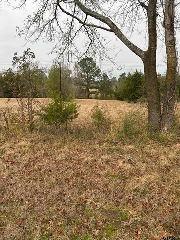 a view of yard with green space