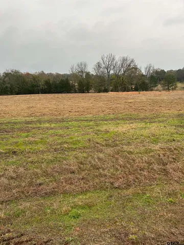 a view of a lake from a yard