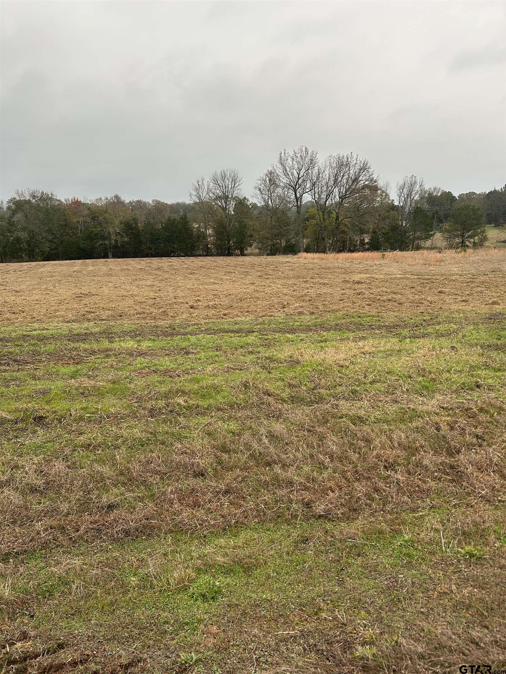 12729 Ridgeway Court Winona, TX 75792 - Photo 4 of 6 a view of a lake from a yard