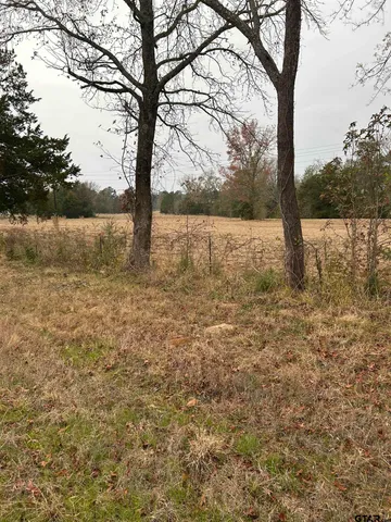a view of lake with tree