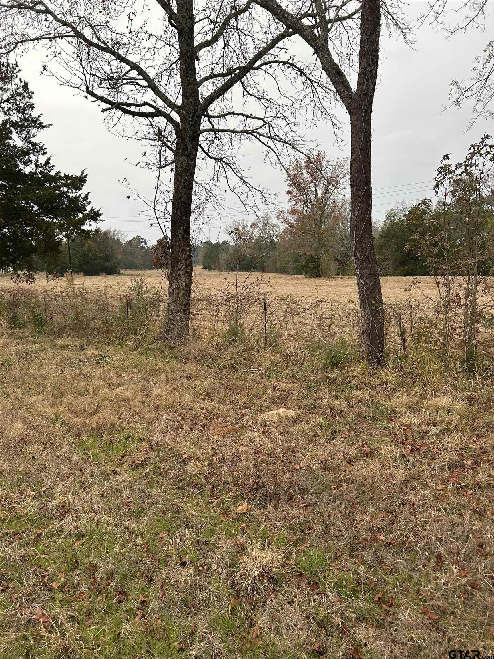12729 Ridgeway Court Winona, TX 75792 - Photo 5 of 6 a view of lake with tree