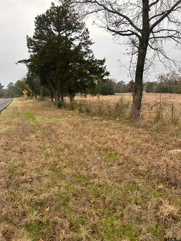 a view of yard with trees