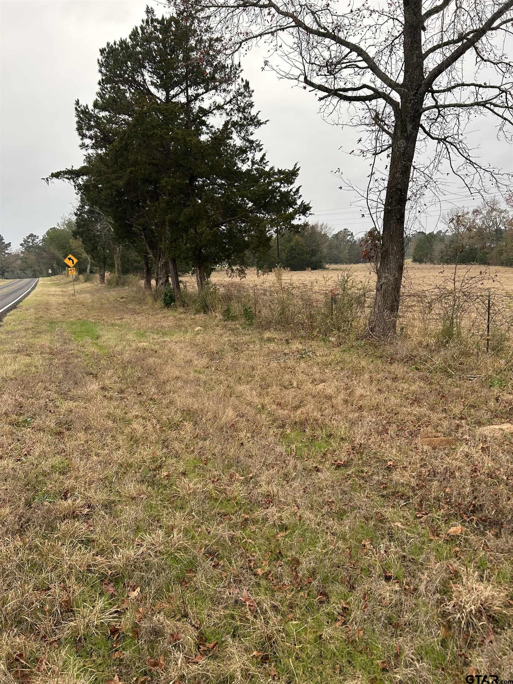 12729 Ridgeway Court Winona, TX 75792 - Photo 6 of 6 a view of yard with trees