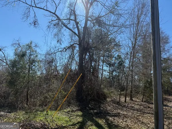 $7,500 | 0 Wragler Trail (lot), Hazlehurst, GA 31539