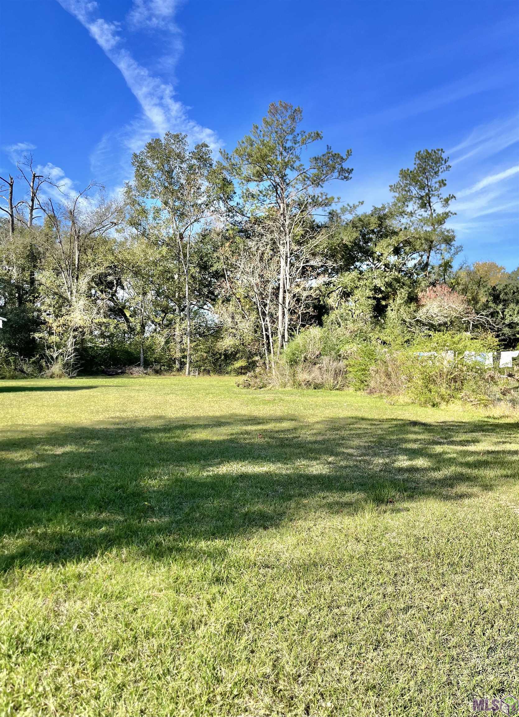 25163 West Street Springfield, LA 70462 - Photo 2 of 3