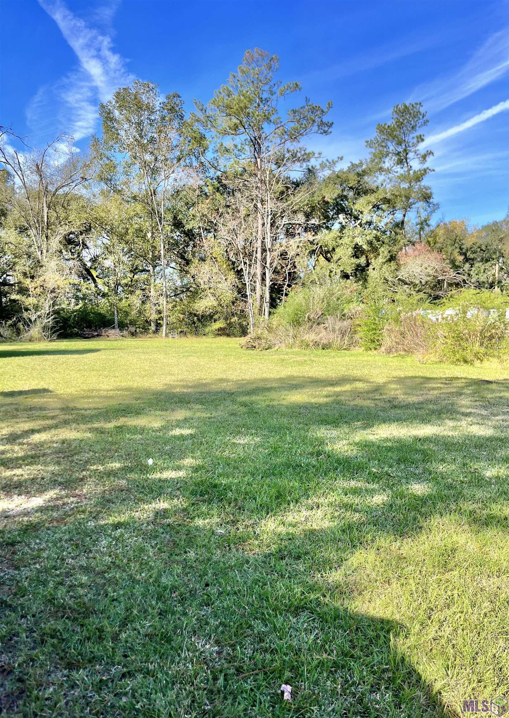 25163 West Street Springfield, LA 70462 - Photo 3 of 3