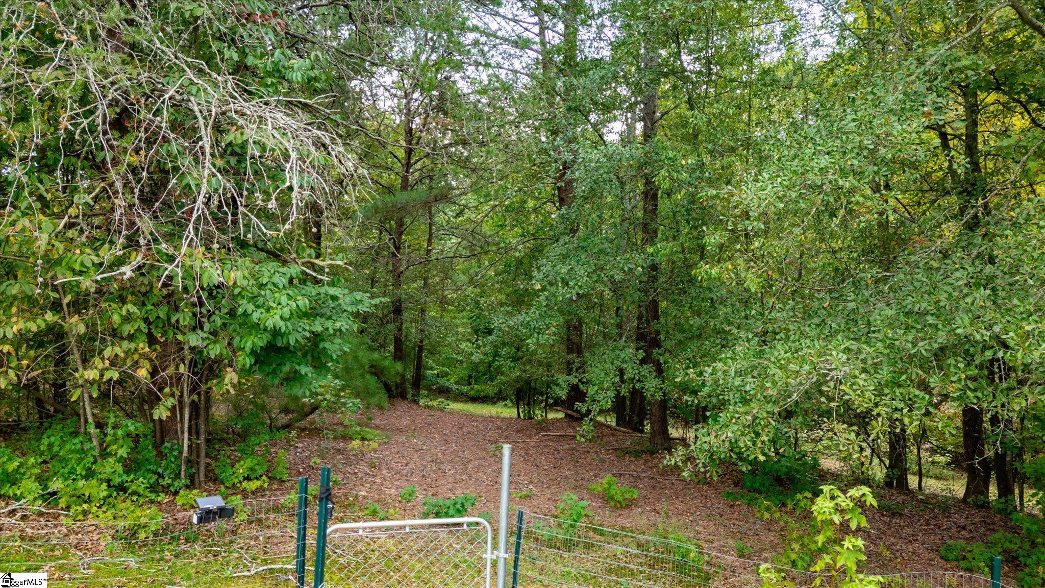 412 Simms School Road Central, SC 29630 - Photo 31 of 50