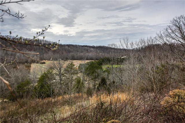 2951 Ivey Point Road Goodlettsville, TN 37072 - Photo 19 of 20 Gallery Image 19