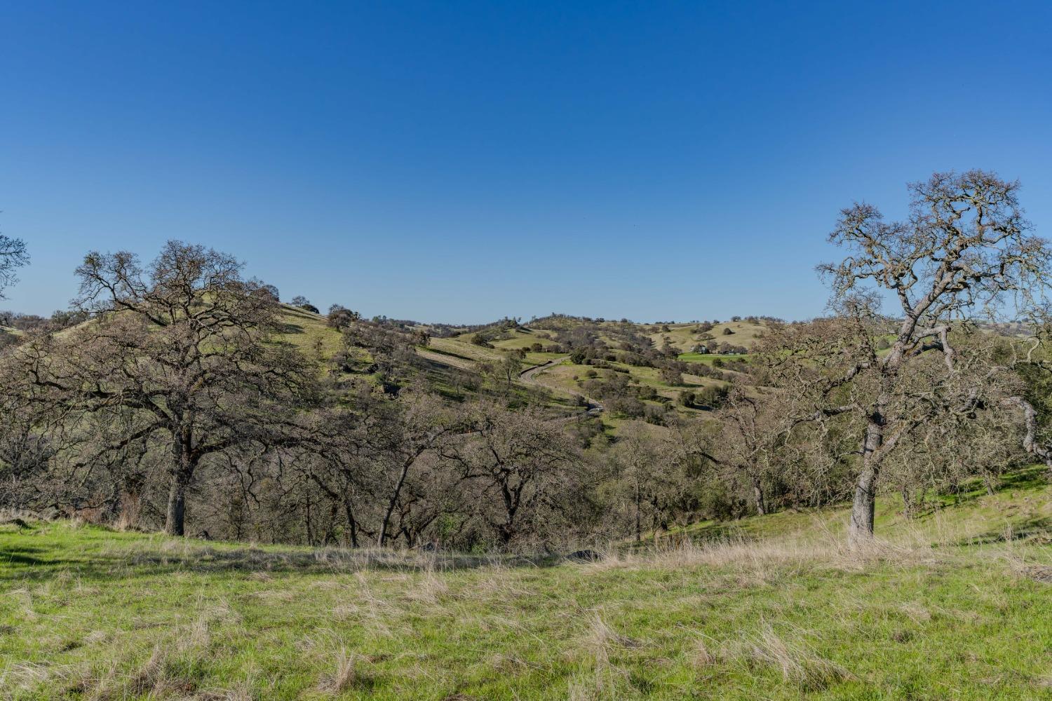 7220 Stony Creek Road Jackson, CA 95642 - Photo 11 of 60 a view of a yard
