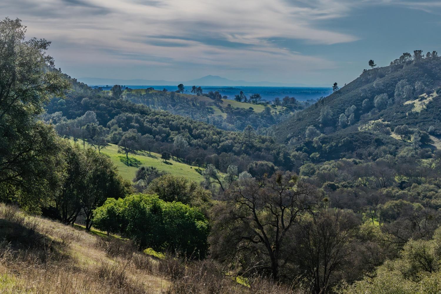 7220 Stony Creek Road Jackson, CA 95642 - Photo 13 of 60 a view of a building