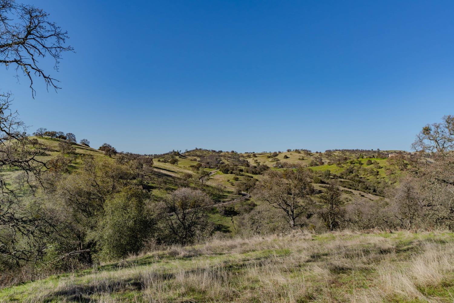 7220 Stony Creek Road Jackson, CA 95642 - Photo 15 of 60 a view of mountains