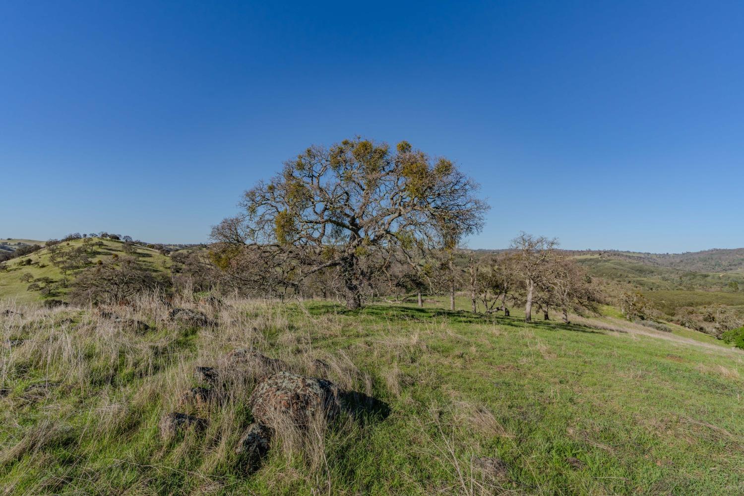 7220 Stony Creek Road Jackson, CA 95642 - Photo 21 of 60 a view of a field with an ocean