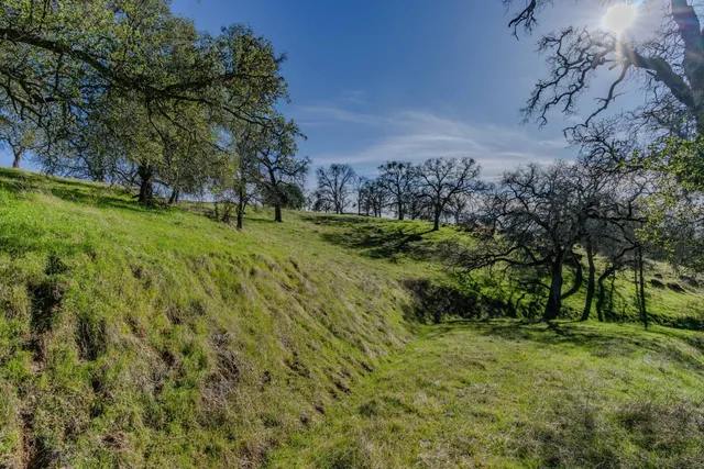 a view of a lush green space with sea