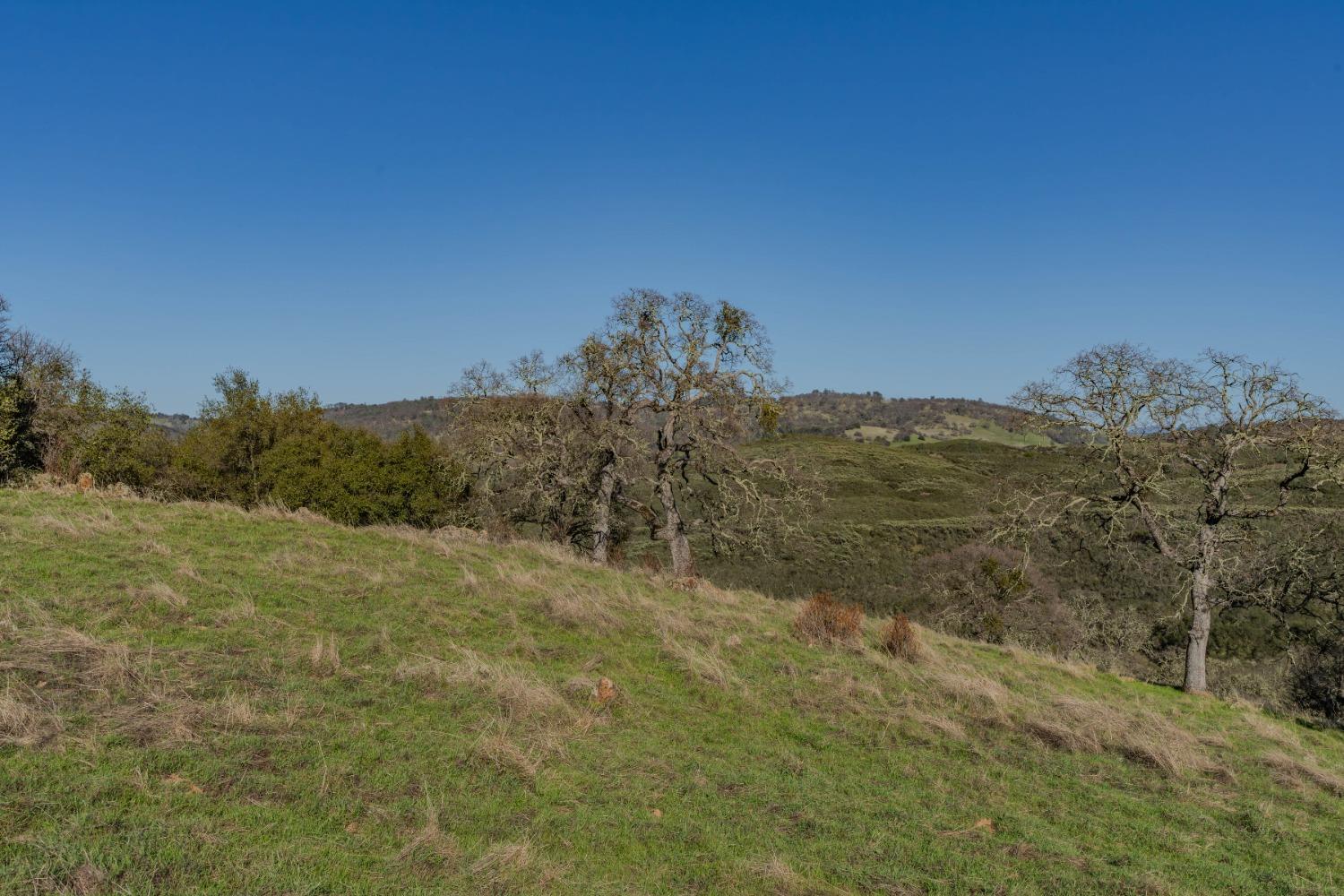 7220 Stony Creek Road Jackson, CA 95642 - Photo 26 of 60 a view of a field