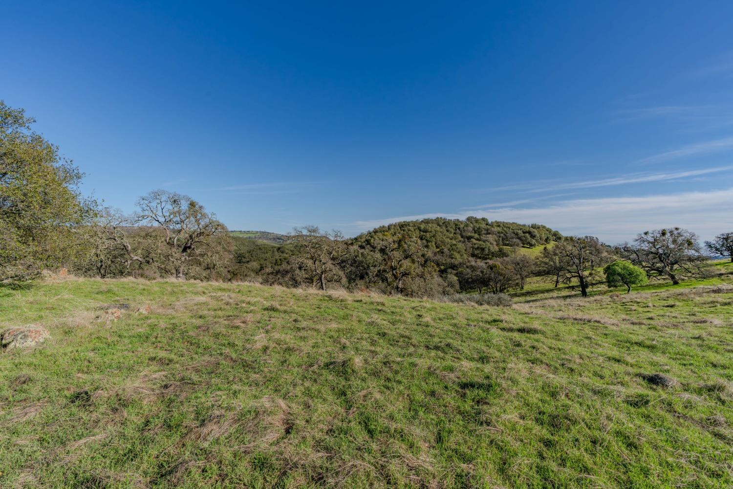 7220 Stony Creek Road Jackson, CA 95642 - Photo 28 of 60 a view of a field with an ocean
