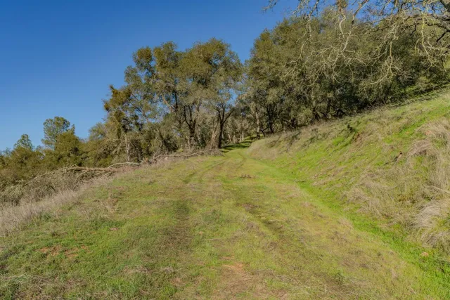 a view of outdoor space with yard and green space