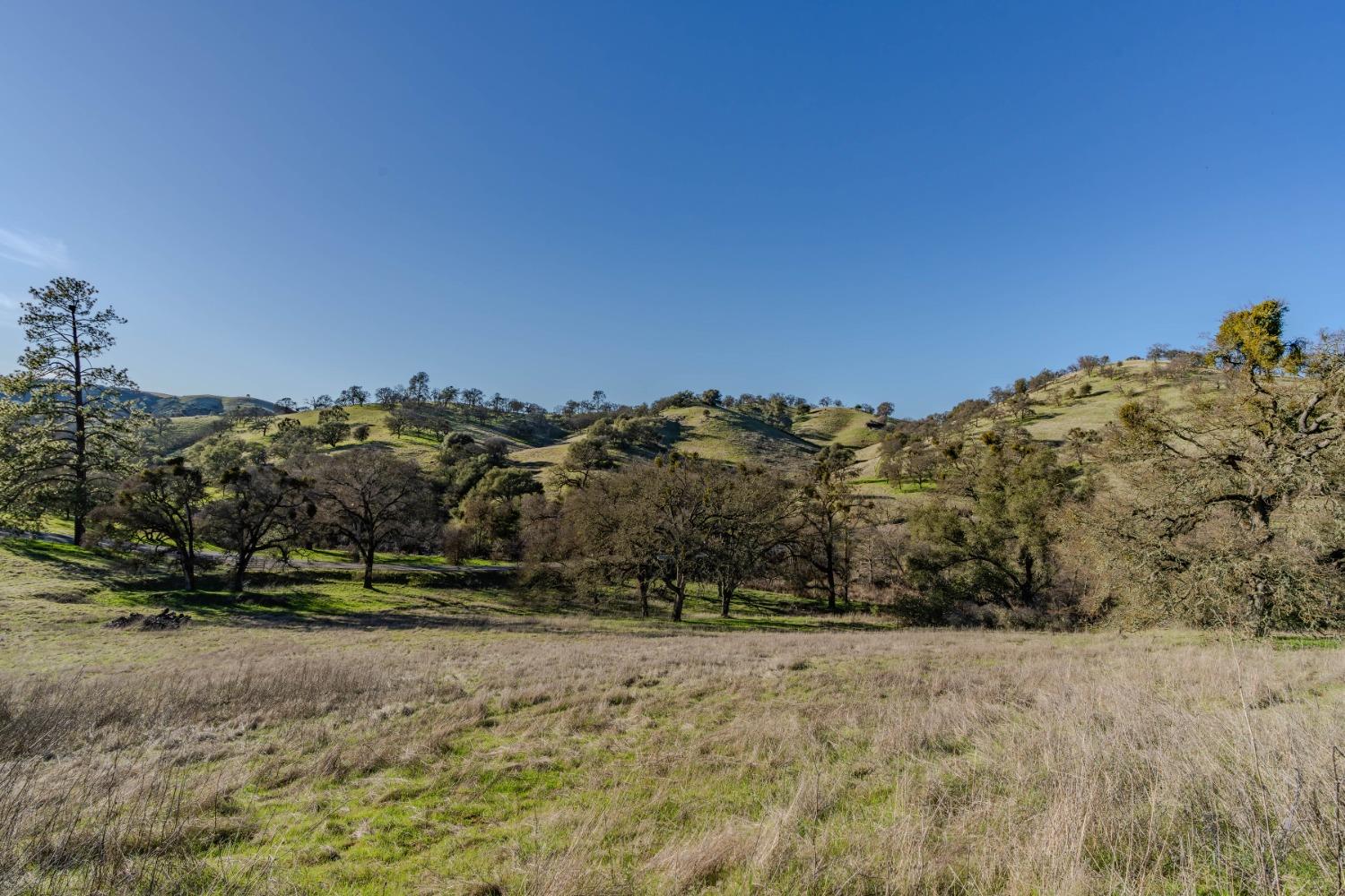 7220 Stony Creek Road Jackson, CA 95642 - Photo 33 of 60 a view of a field