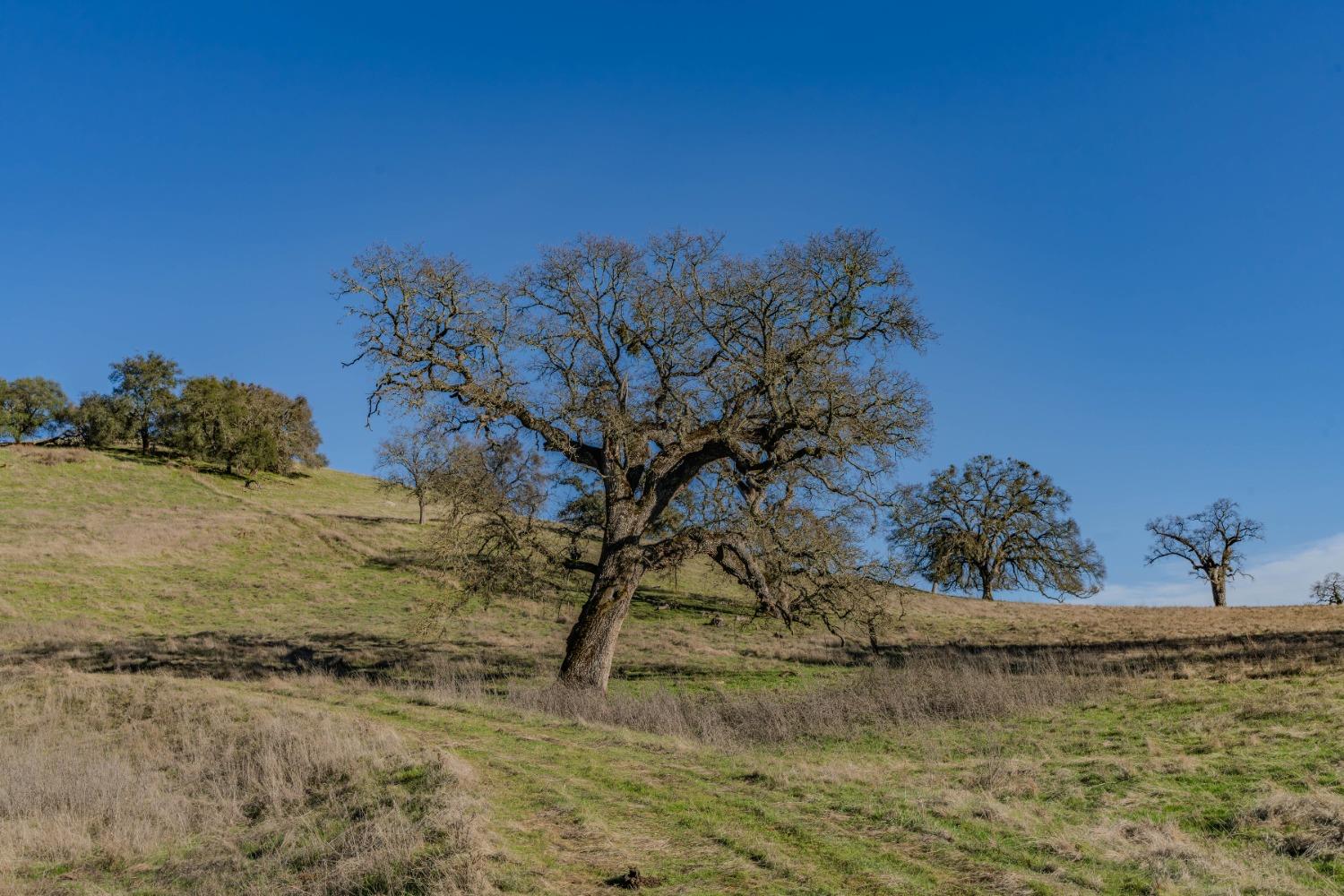 7220 Stony Creek Road Jackson, CA 95642 - Photo 34 of 60 a view of a lake with a mountain in the background