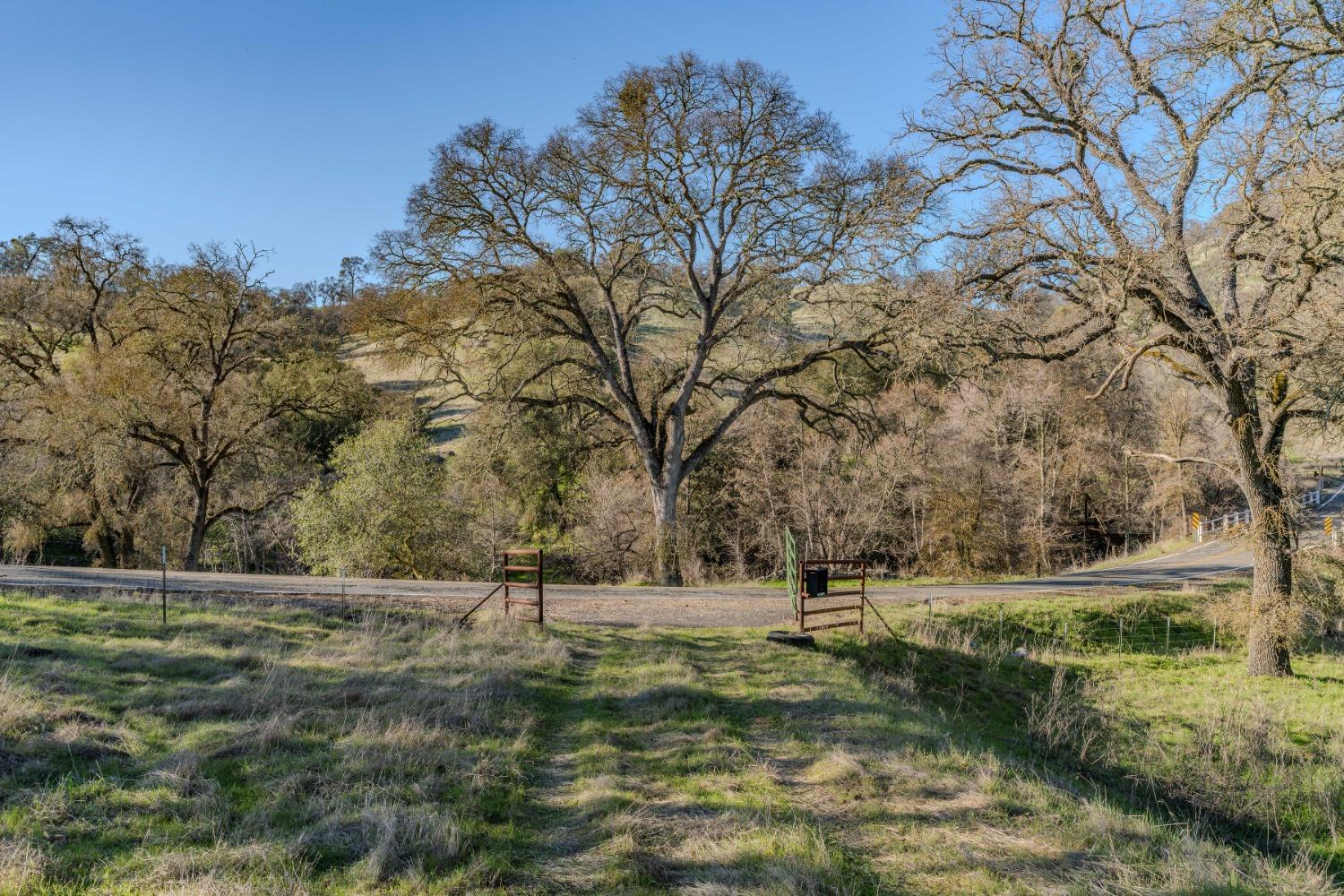 7220 Stony Creek Road Jackson, CA 95642 - Photo 35 of 60 a view of outdoor space with yard and green space