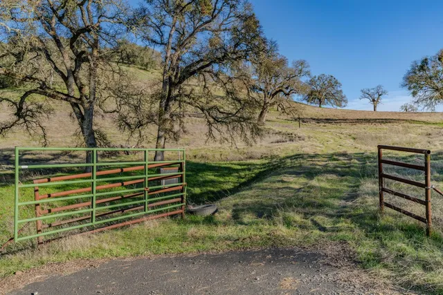 a view of a yard with wooden fence