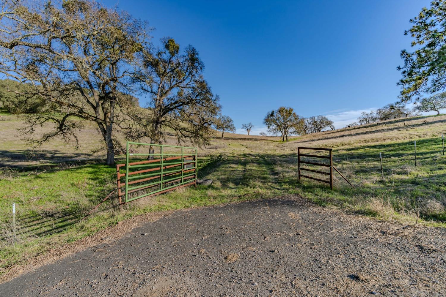 7220 Stony Creek Road Jackson, CA 95642 - Photo 37 of 60 a view of a yard
