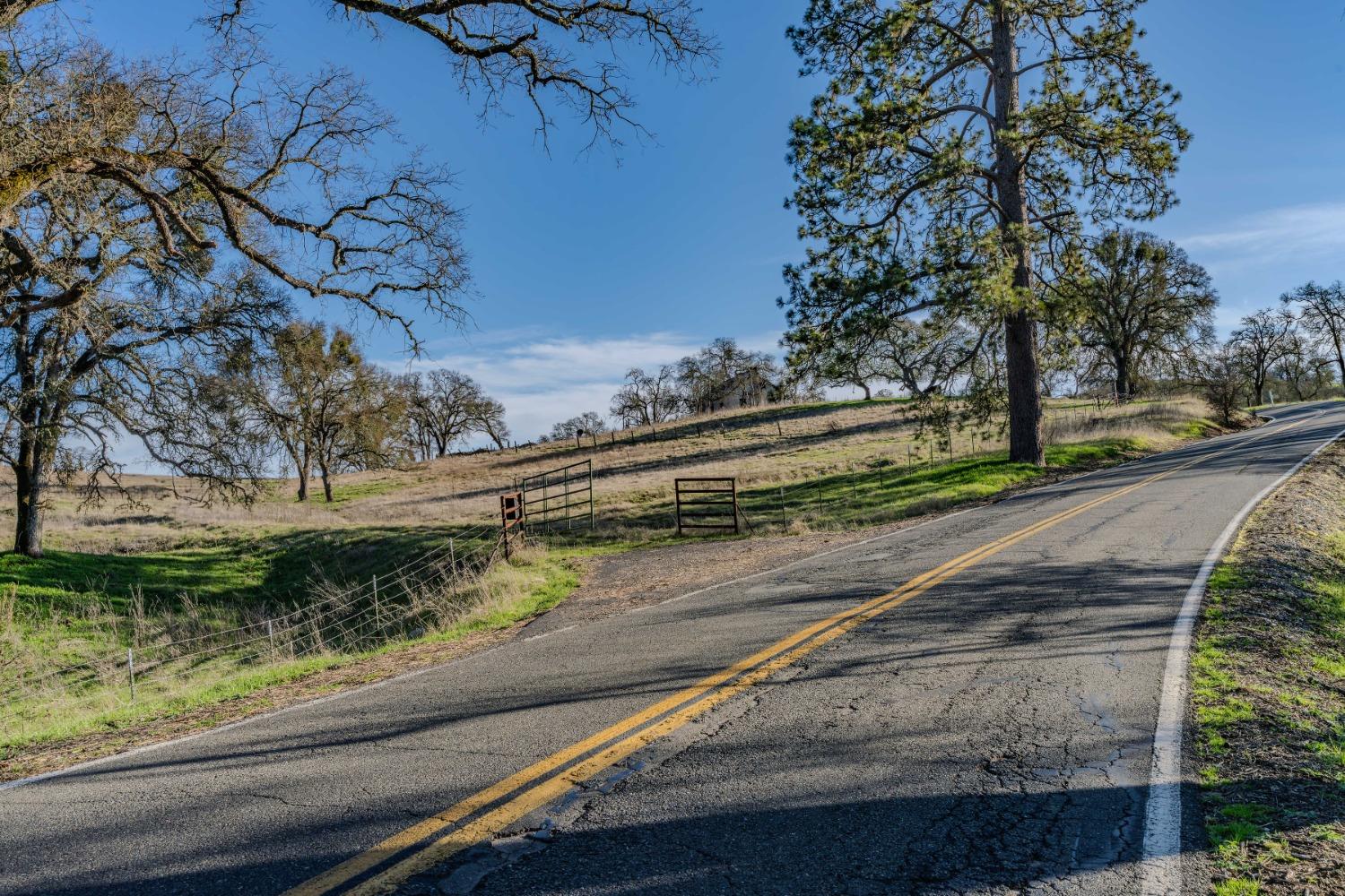 7220 Stony Creek Road Jackson, CA 95642 - Photo 38 of 60 a view of a yard with a bench and trees