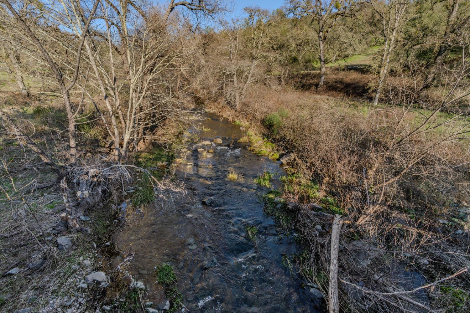 7220 Stony Creek Road Jackson, CA 95642 - Photo 4 of 60 a view of a tree in a yard