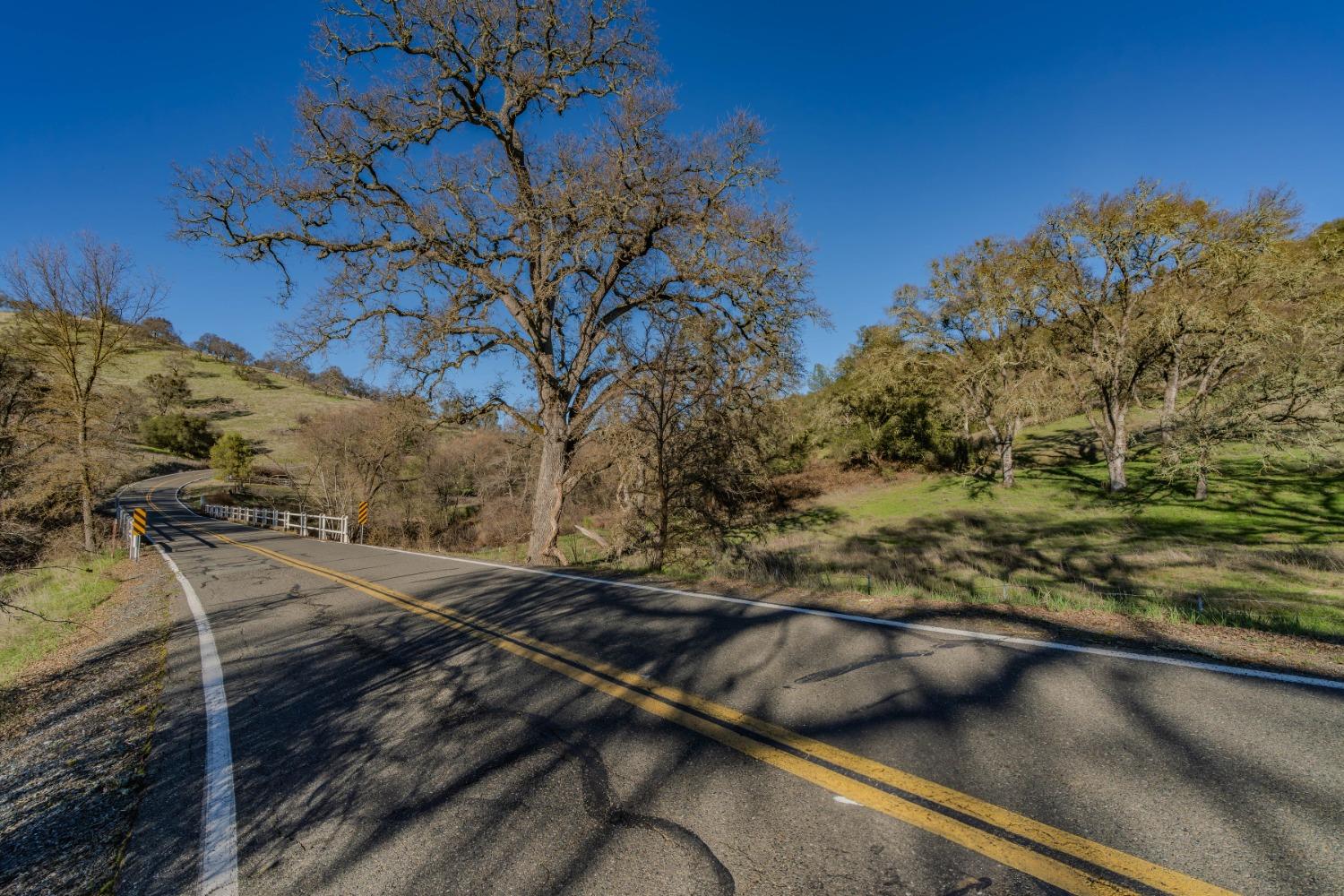 7220 Stony Creek Road Jackson, CA 95642 - Photo 41 of 60 a view of a forest