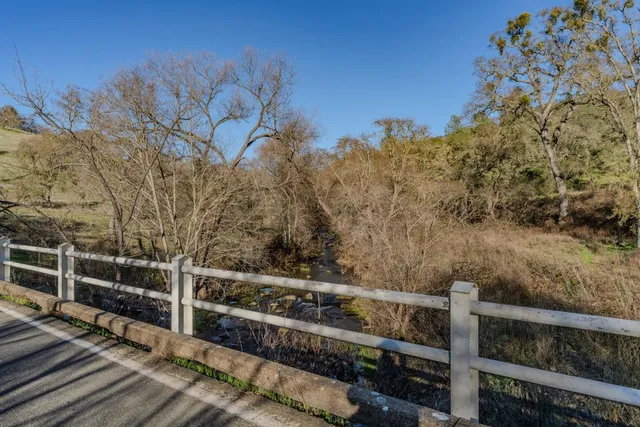 a view of a city with lush green forest