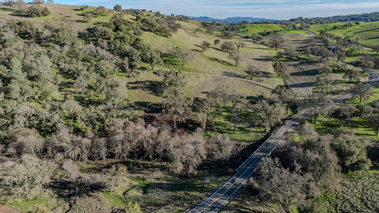 7220 Stony Creek Road Jackson, CA 95642 - Photo 44 of 60 a view of a forest with a house