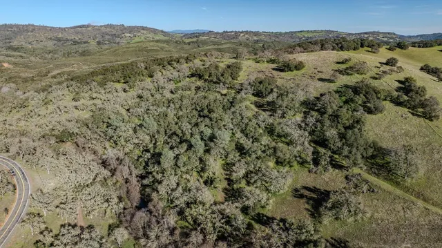 an aerial view of forest