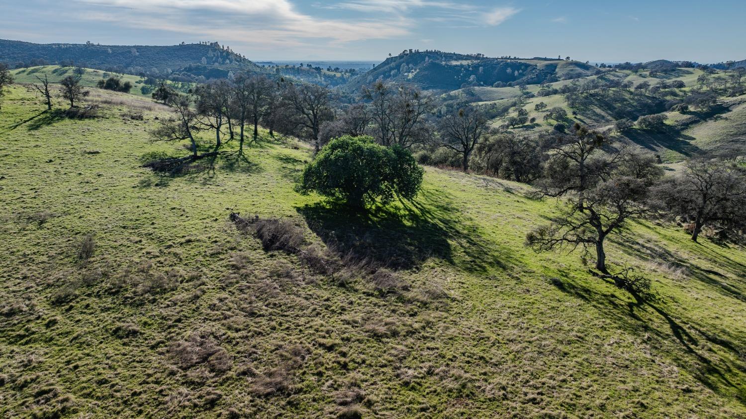 7220 Stony Creek Road Jackson, CA 95642 - Photo 47 of 60 a view of a mountain with a yard