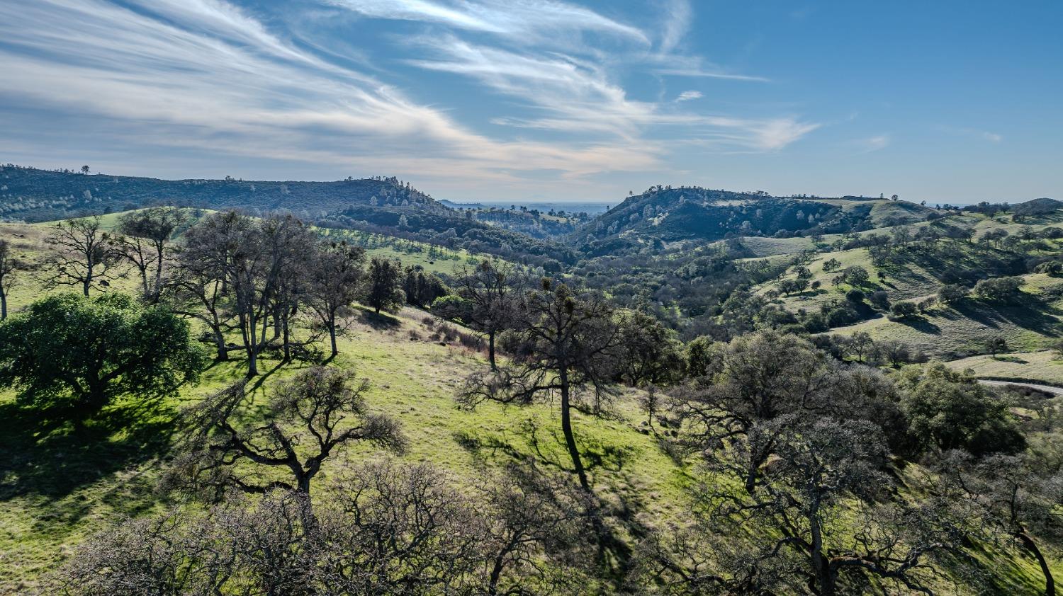 7220 Stony Creek Road Jackson, CA 95642 - Photo 49 of 60 a view of a city with lush green forest