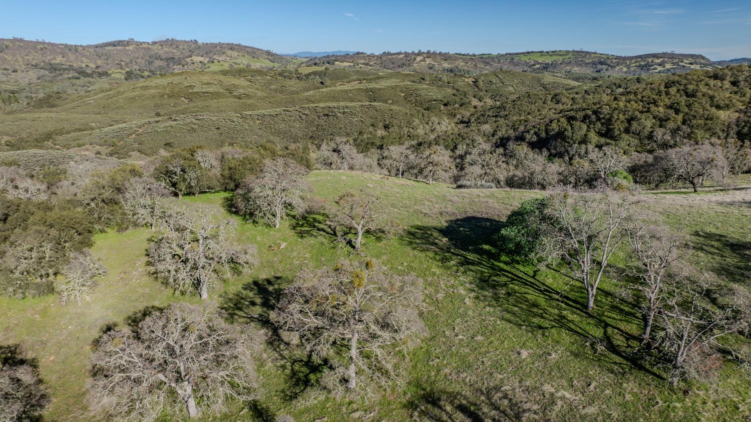 7220 Stony Creek Road Jackson, CA 95642 - Photo 50 of 60 a view of a mountain in the distance in a field