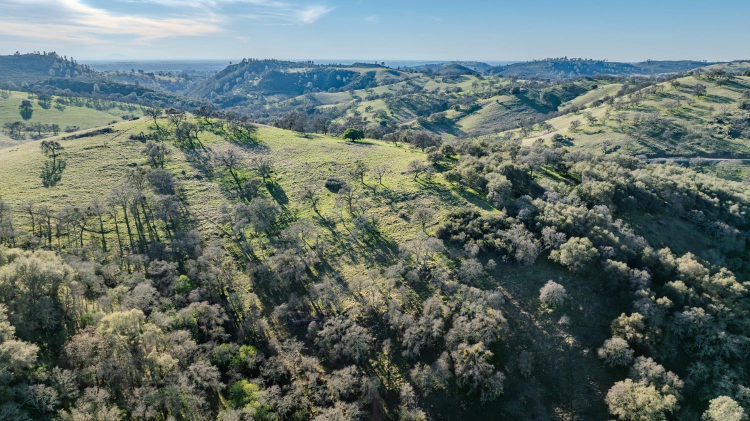 7220 Stony Creek Road Jackson, CA 95642 - Photo 51 of 60 an aerial view of residential houses with outdoor space