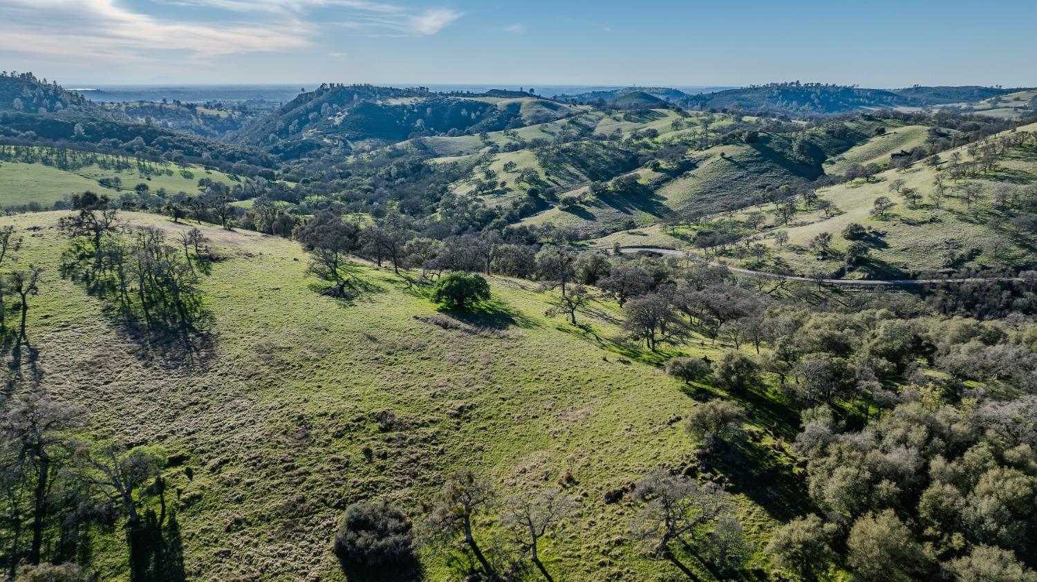 7220 Stony Creek Road Jackson, CA 95642 - Photo 53 of 60 an aerial view of forest