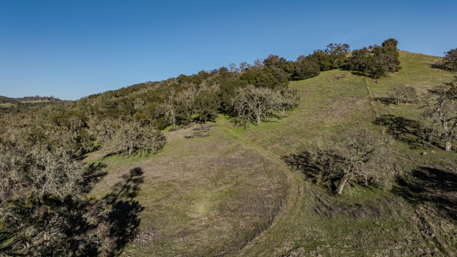 7220 Stony Creek Road Jackson, CA 95642 - Photo 59 of 60 a view of a dry yard with mountains in the background
