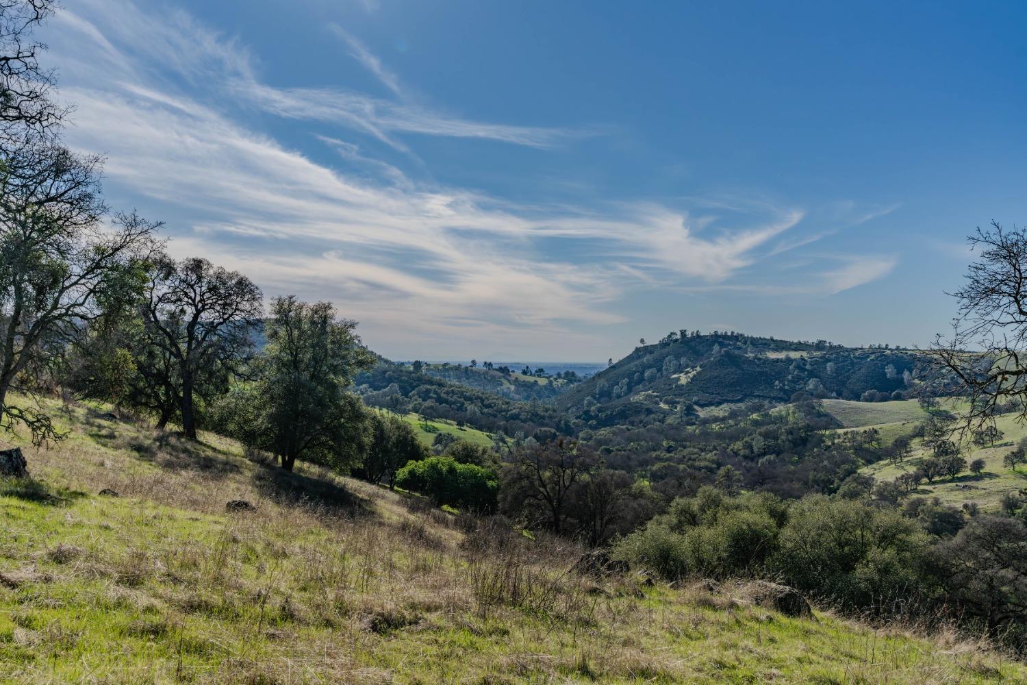 7220 Stony Creek Road Jackson, CA 95642 - Photo 6 of 60 a view of a pathway with a yard