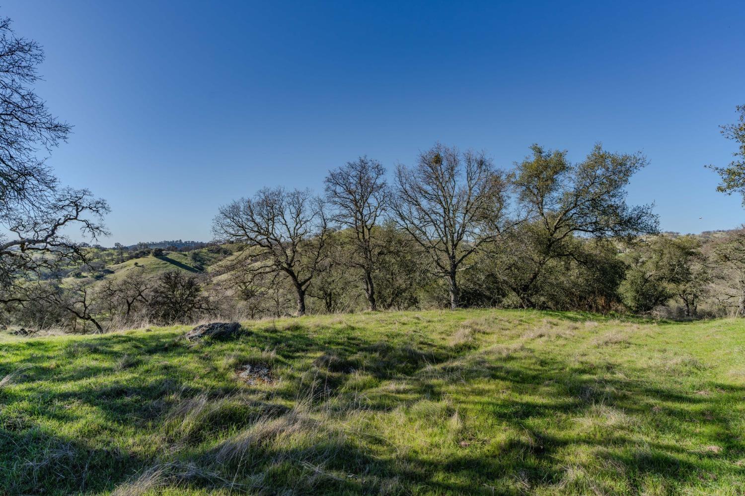 7220 Stony Creek Road Jackson, CA 95642 - Photo 8 of 60 a big yard with lots of green space