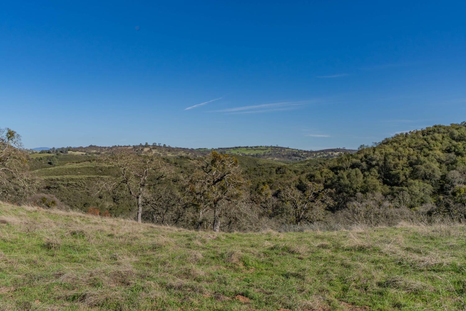 7220 Stony Creek Road Jackson, CA 95642 - Photo 9 of 60 a view of a dry yard with mountains in the background