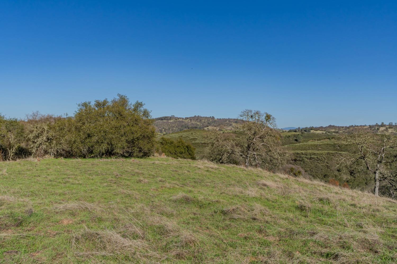 7220 Stony Creek Road Jackson, CA 95642 - Photo 10 of 60