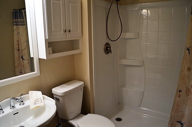 244 North Ridgemoor Avenue Mundelein, IL 60060 - Photo 9 of 10 a bathroom with a sink toilet and shower