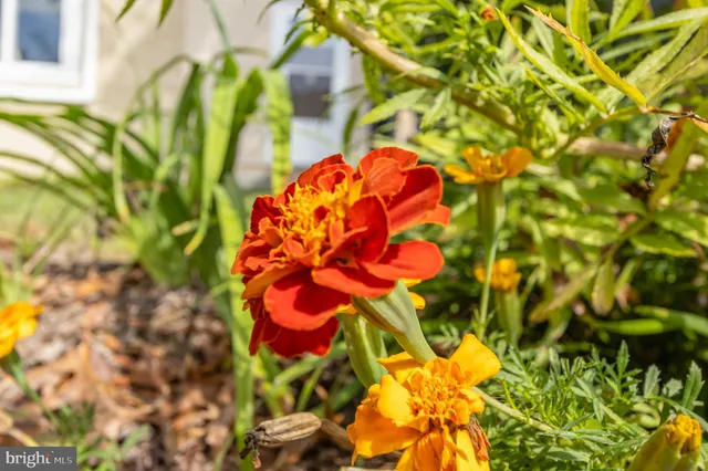 a view of a lake with houses
