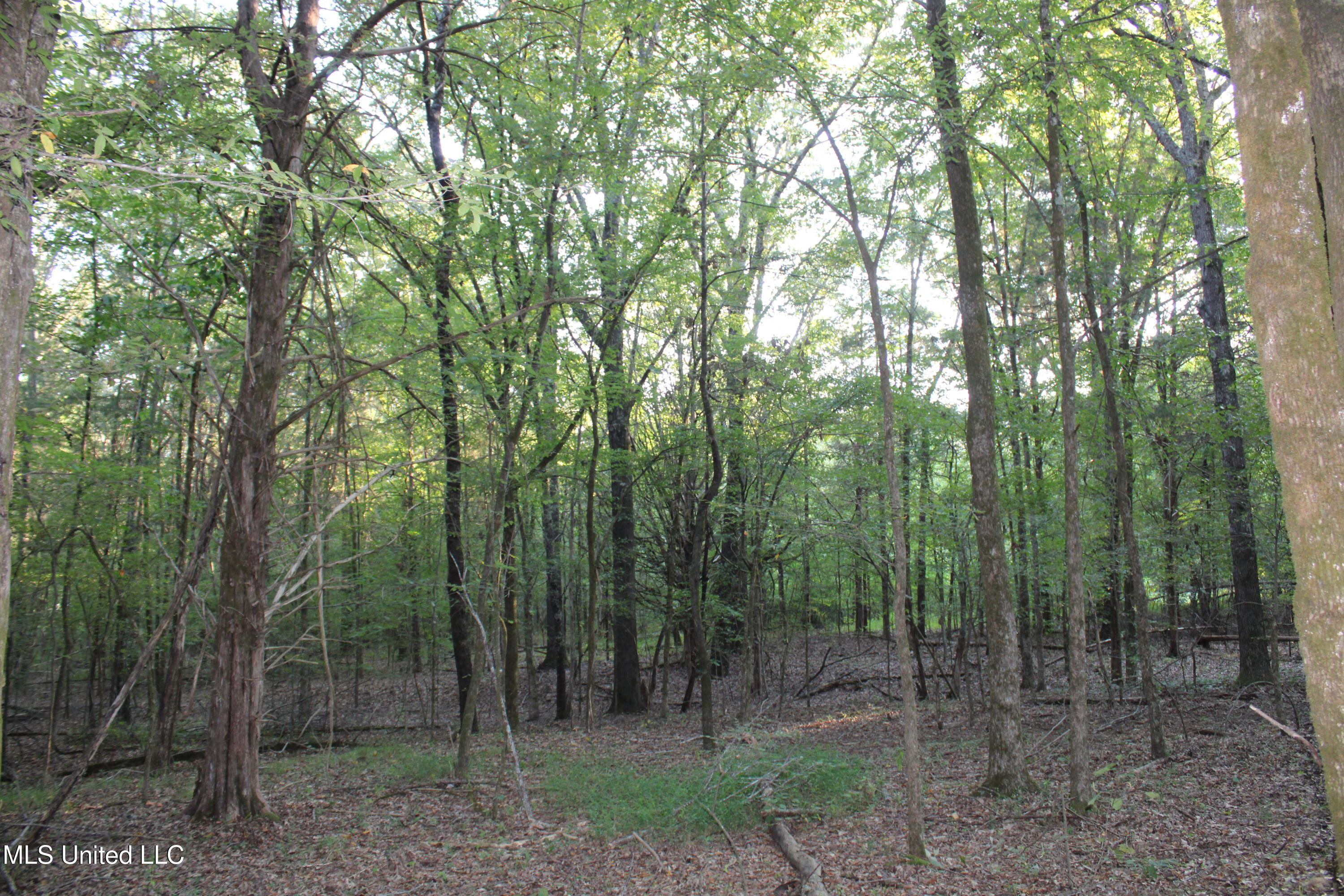 1800 Union Valley Road Byhalia, MS 38611 - Photo 11 of 14 IMG_6399