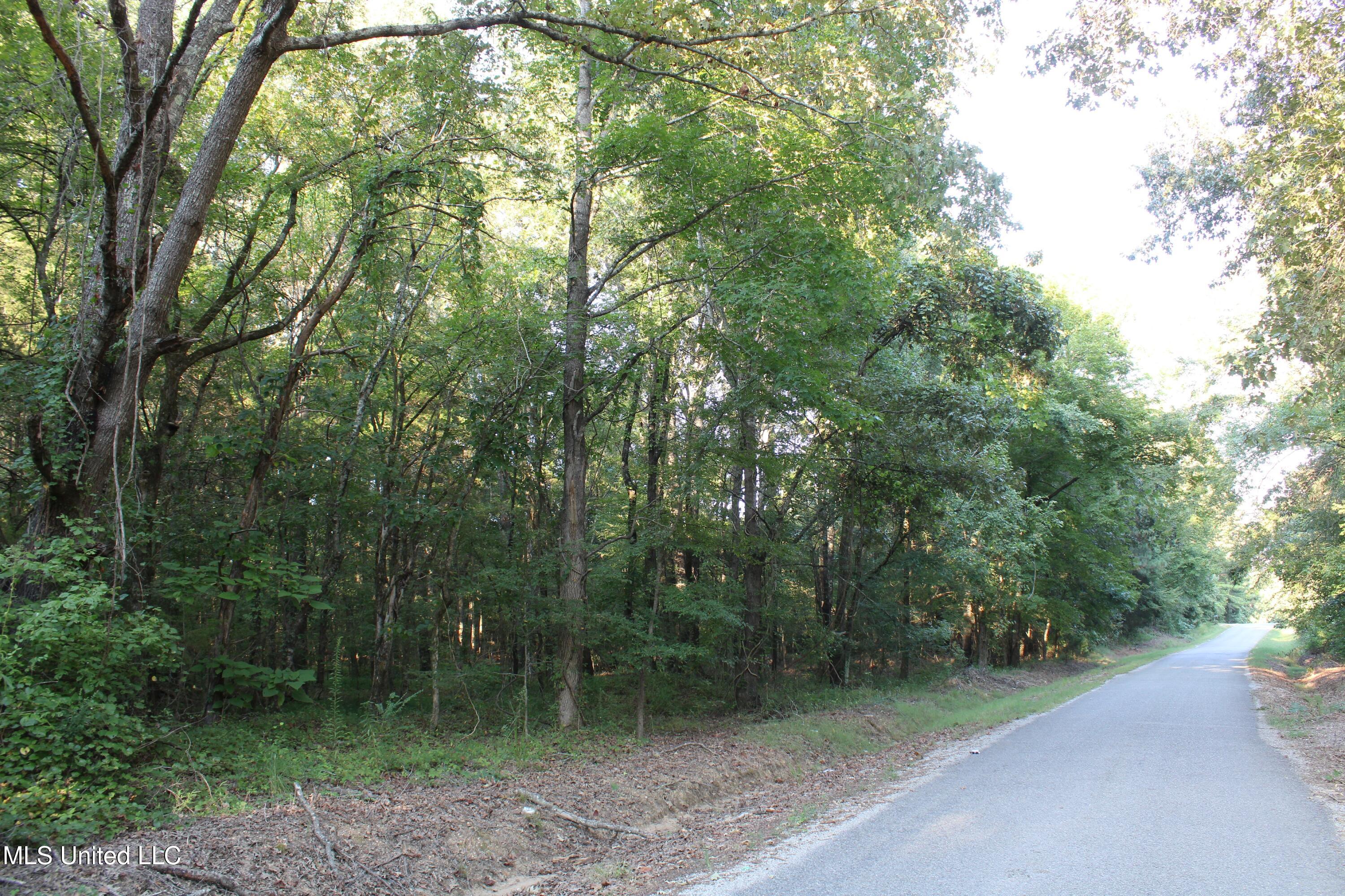 1800 Union Valley Road Byhalia, MS 38611 - Photo 13 of 14 IMG_6386