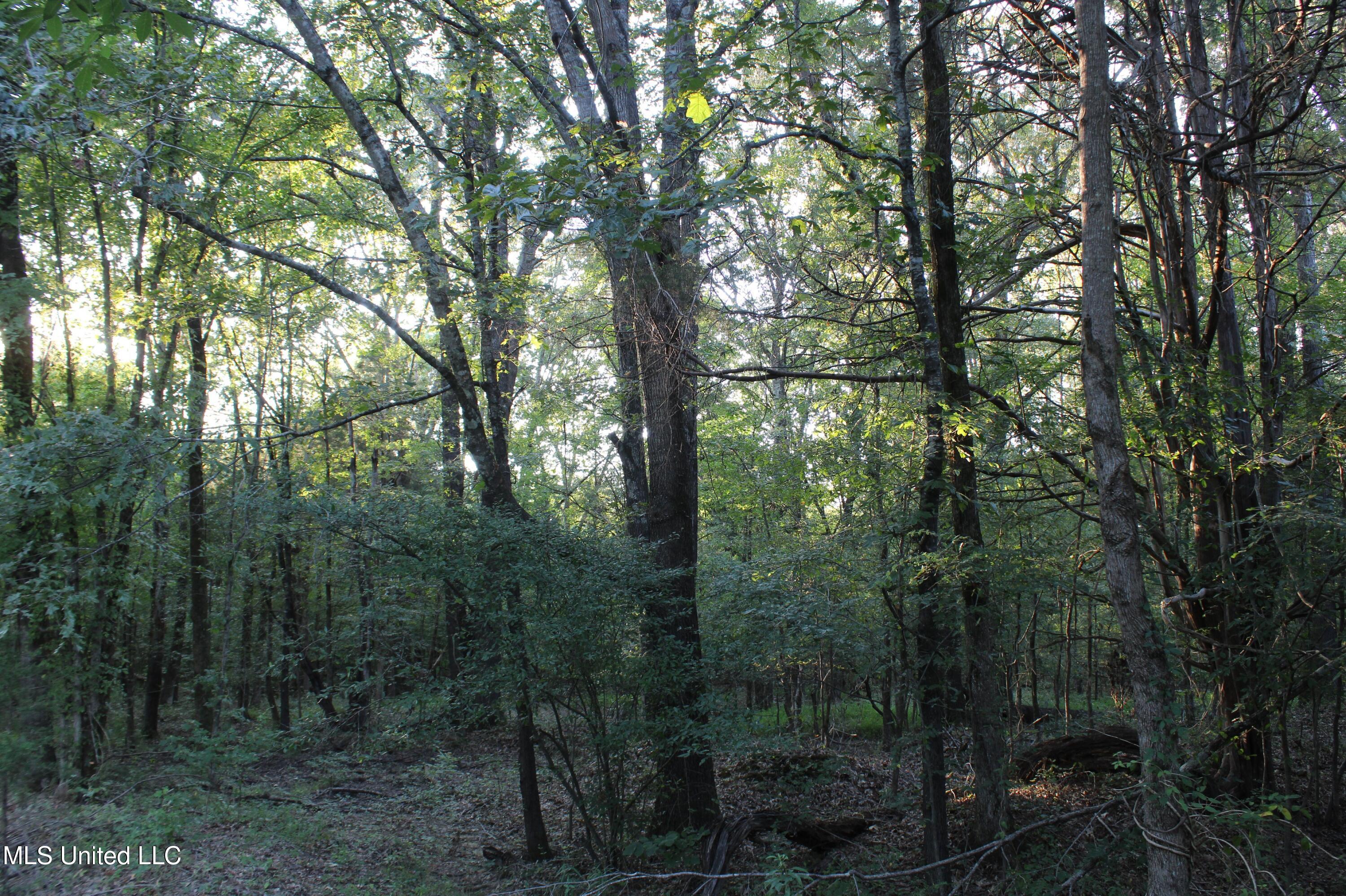 1800 Union Valley Road Byhalia, MS 38611 - Photo 14 of 14 IMG_6388