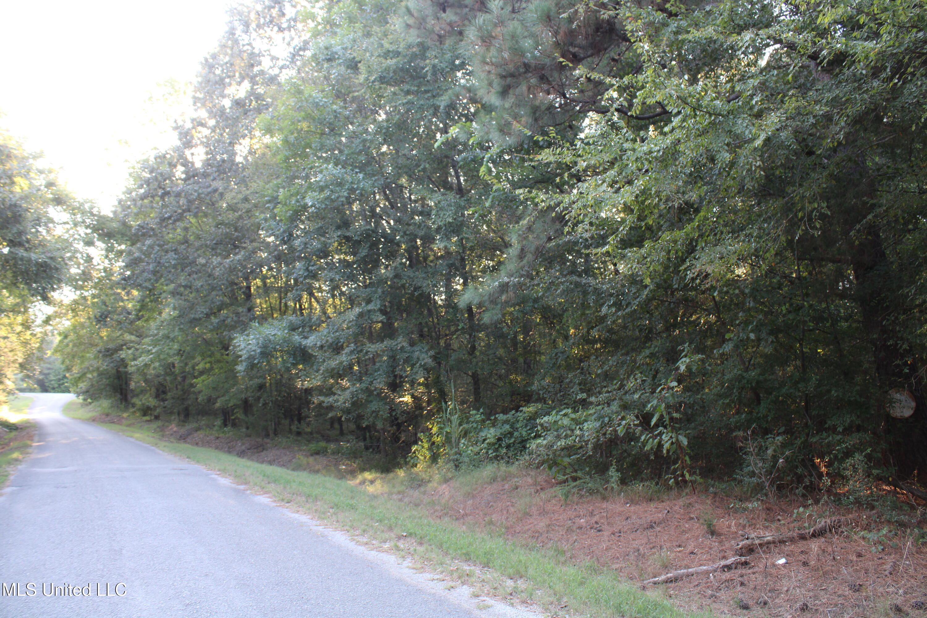 1800 Union Valley Road Byhalia, MS 38611 - Photo 2 of 14 IMG_6387